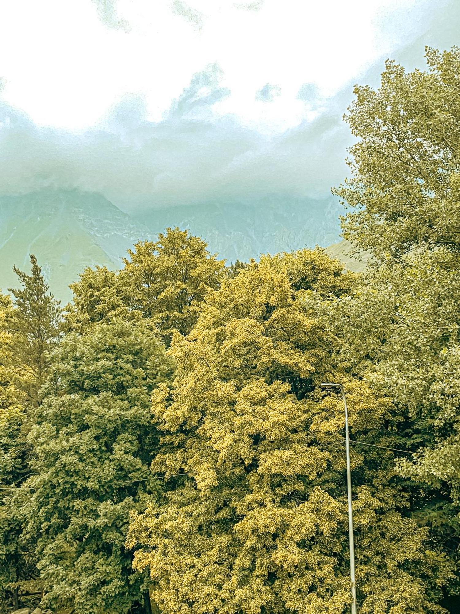 Hotel Gold Kazbegi Exterior foto